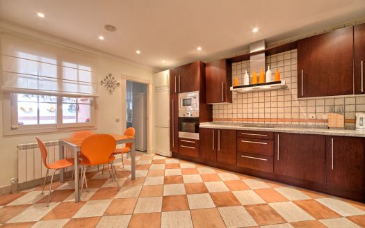 Beachside villa near Puerto Banus