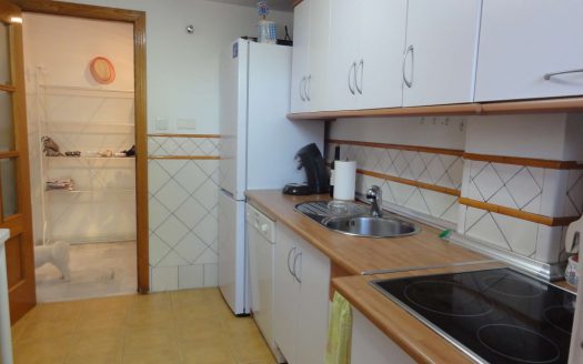 Apartment for rent in Marbella (Elviria)