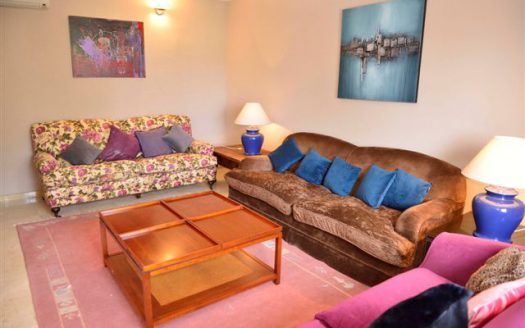 Villa in Nueva Andalucia