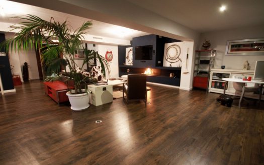 Modern villa close to the sea