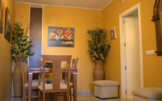 Apartment in Nueva Andalucia