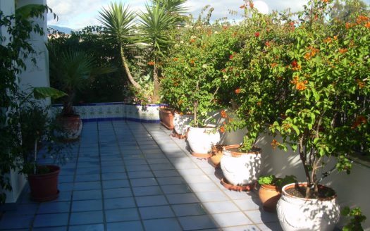 Apartment in Nueva Andalucia