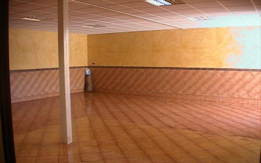 Rustic villa in Benalmadena