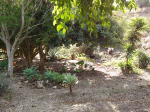 beautiful country villa in a natural environment between Mijas and Fuengirola