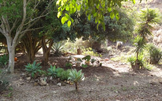 Finca between Mijas and Fuengirola