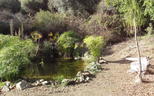 Finca between Mijas and Fuengirola